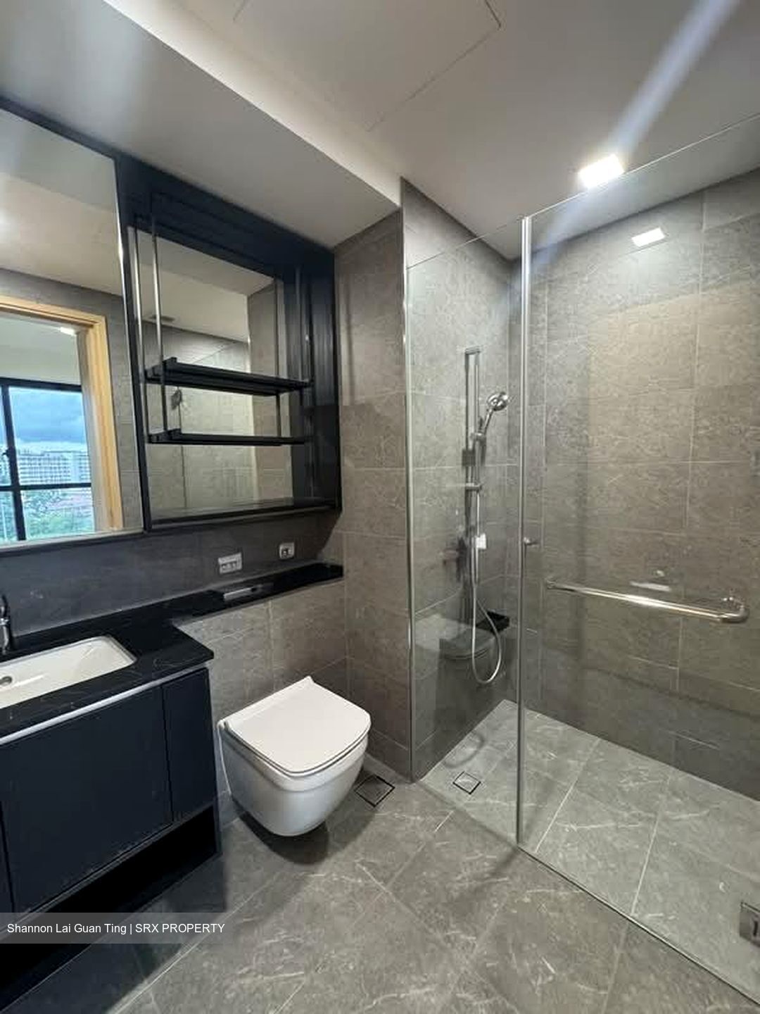 The Antares (D14), Apartment #534874581